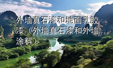 外墻真石漆和地面乳膠漆（外墻真石漆和外墻涂料）