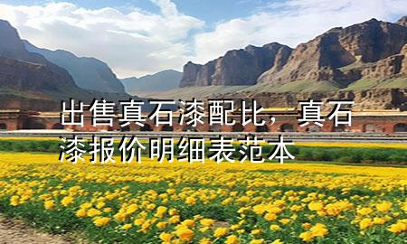 出售真石漆配比，真石漆報(bào)價(jià)明細(xì)表范本