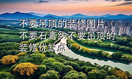 不要吊頂?shù)难b修圖片（不要石膏線不要吊頂?shù)难b修優(yōu)缺點？）