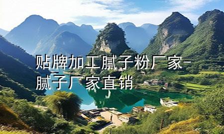 貼牌加工膩子粉廠家-膩子廠家直銷