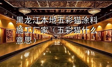 黑龍江本地五彩貓涂料施工廠家（五彩貓什么意思）