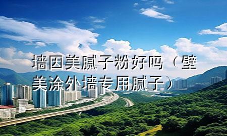 墻因美膩子粉好嗎（壁美涂外墻專用膩子）