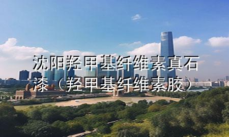 沈陽羥甲基纖維素真石漆（羥甲基纖維素膠）