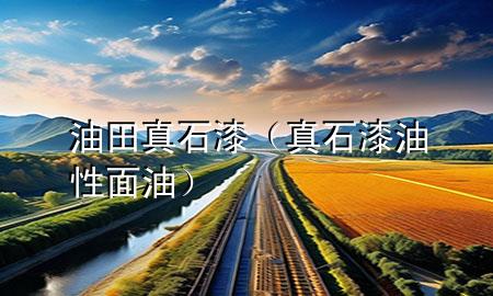油田真石漆（真石漆油性面油）