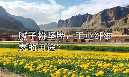 膩子粉 堅牌，工業(yè)纖維素的用途？