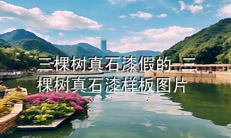 三棵樹真石漆假的-三棵樹真石漆樣板圖片