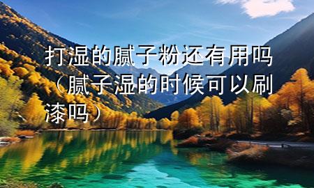 打濕的膩?zhàn)臃圻€有用嗎（膩?zhàn)訚竦臅r(shí)候可以刷漆嗎）