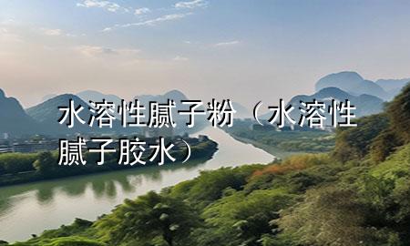 水溶性膩子粉（水溶性膩子膠水）