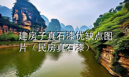 建房子真石漆優(yōu)缺點圖片（民房真石漆）