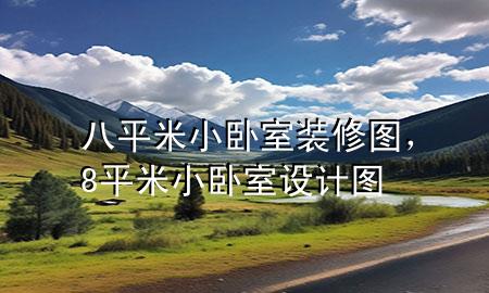 八平米小臥室裝修圖，8平米小臥室設(shè)計圖