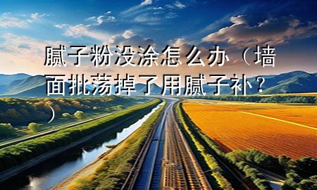 膩?zhàn)臃蹧](méi)涂怎么辦（墻面批蕩掉了用膩?zhàn)友a(bǔ)？）