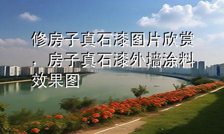 修房子真石漆圖片欣賞，房子真石漆外墻涂料效果圖