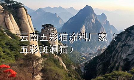 云南五彩貓涂料廠家（五彩斑斕貓）