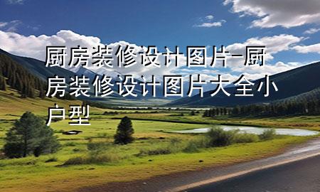 廚房裝修設計圖片-廚房裝修設計圖片大全 小戶型