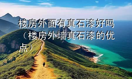 樓房外面有真石漆好嗎（樓房外墻真石漆的優(yōu)點(diǎn)）