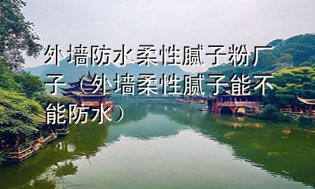 外墻防水柔性膩子粉廠子（外墻柔性膩子能不能防水）