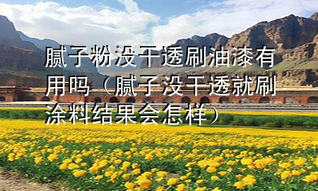 膩子粉沒干透刷油漆有用嗎（膩子沒干透就刷涂料結(jié)果會怎樣）