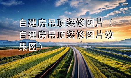 自建房吊頂裝修圖片（自建房吊頂裝修圖片效果圖）