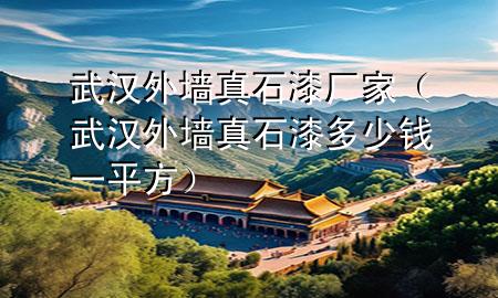 武漢外墻真石漆廠家（武漢外墻真石漆多少錢一平方）