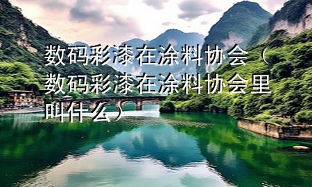 數(shù)碼彩漆在涂料協(xié)會（數(shù)碼彩漆在涂料協(xié)會里叫什么）
