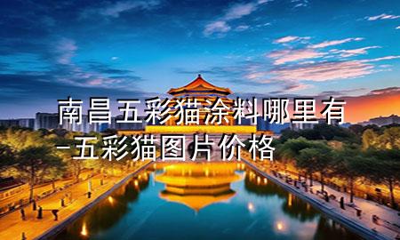 南昌五彩貓涂料哪里有-五彩貓圖片價格