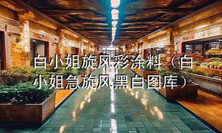 白小姐旋風彩涂料（白小姐急旋風黑白圖庫）