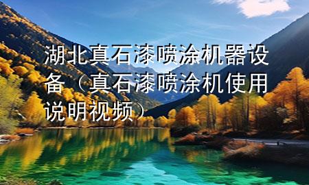 湖北真石漆噴涂機器設備（真石漆噴涂機使用說明視頻）