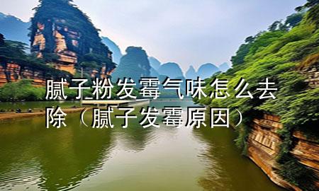 膩?zhàn)臃郯l(fā)霉氣味怎么去除（膩?zhàn)影l(fā)霉原因）