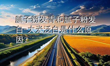 膩子粉發(fā)青和膩子粉發(fā)白-大米泛白是什么原因？