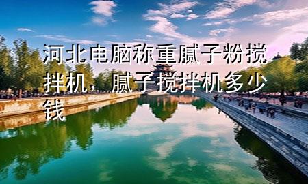 河北電腦稱重膩?zhàn)臃蹟嚢铏C(jī)，膩?zhàn)訑嚢铏C(jī)多少錢