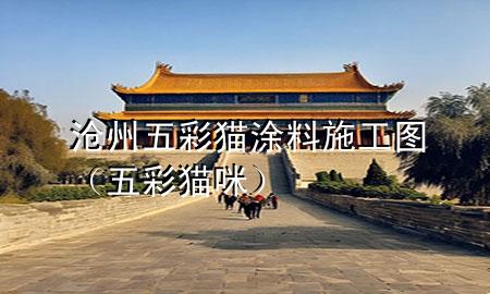 滄州五彩貓涂料施工圖（五彩貓咪）