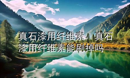 真石漆用纖維素，真石漆用纖維素能刷掉嗎