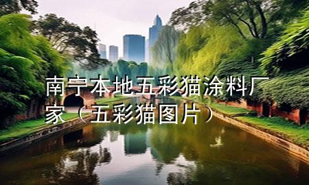 南寧本地五彩貓涂料廠家（五彩貓圖片）
