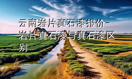 云南巖片真石漆報價-巖片真石漆與真石漆 區(qū)別